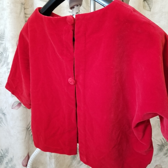 Vintage velvet cropped top ~Large - Picture 2 of 5